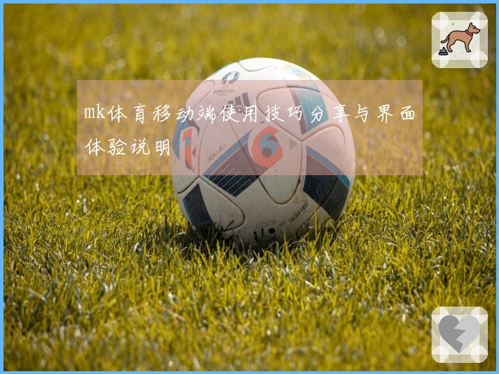 mk体育移动端使用技巧分享与界面体验说明