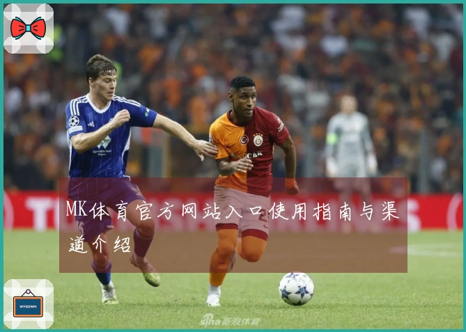MK体育官方网站入口使用指南与渠道介绍
