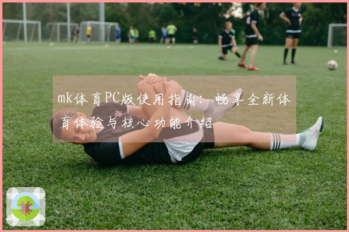 mk体育PC版使用指南：畅享全新体育体验与核心功能介绍
