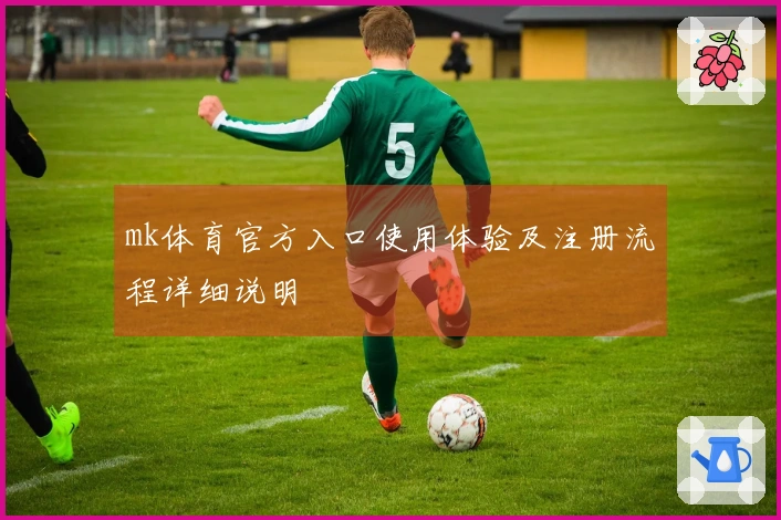 mk体育官方入口使用体验及注册流程详细说明