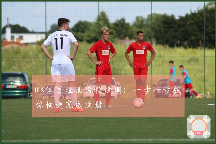 mk体育注册流程说明：一步一步教你快速完成注册。