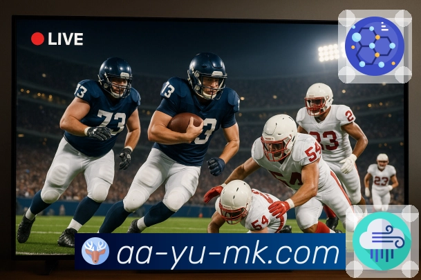 体育直播接口页面结构示意